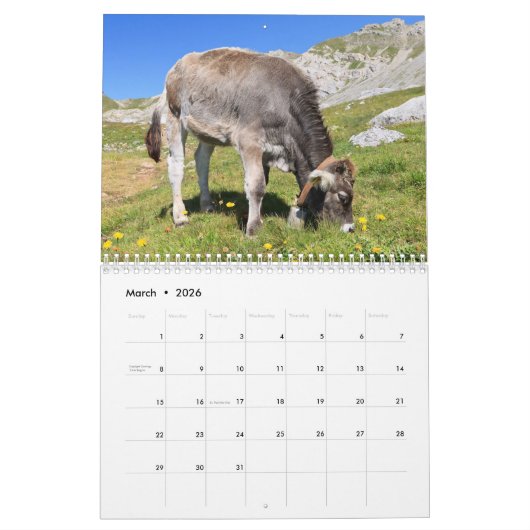Wildlife Kalender (Mar 2026)