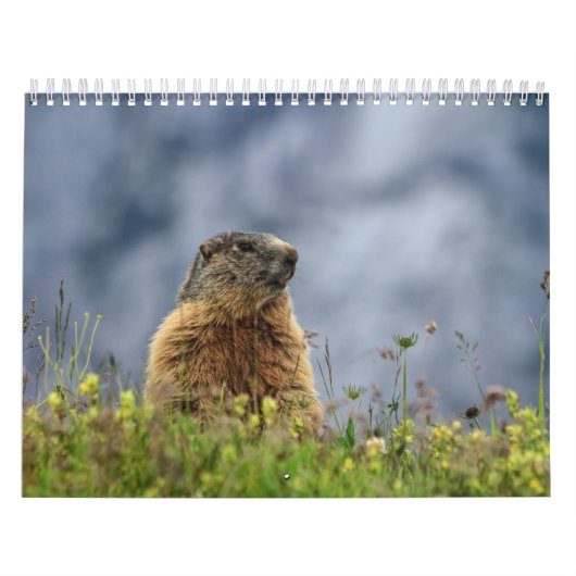 Wildlife Kalender (Hoes)