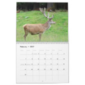 Wildlife Kalender (Feb 2027)