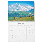 Wildlife Kalender (Mar 2026)