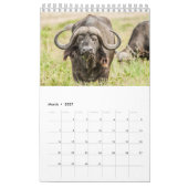 Wildlife Kalender 2021 (Mar 2027)