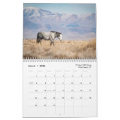 Wildlife kalender 2025 (Mar 2026)