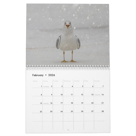 Wildlife Kalender 2026 (Feb 2026)