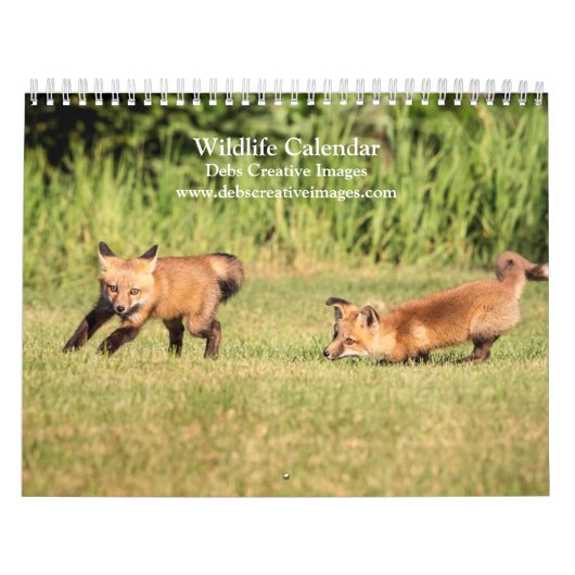 Wildlife Kalender 2026 (Hoes)
