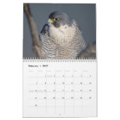Wildlife Kalender 2026 (Feb 2027)