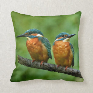 Wildlife Kingfisher Foto Kussen