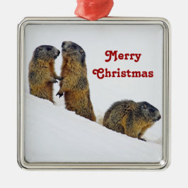 Wildlife Marmots SneeuwfotoKerstmis Metalen Ornament