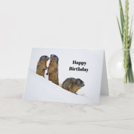 Wildlife Marmots Snow Photo Birthday Kaart