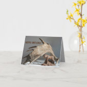 Wildlife Moose Fun rire anony-MOOSE carte d'annive (Fleur jaune)