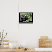 Wildlife Motivatie Posters Buffalo Teamwork (Keuken)