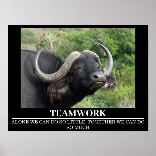 Wildlife Motivatie Posters Buffalo Teamwork (Voorkant)