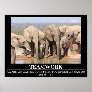 Wildlife Motivatie Posters Olifant Teamwork