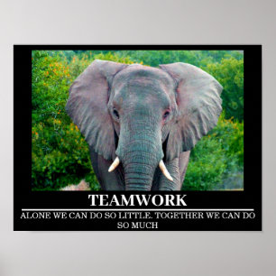 Wildlife Motivatie Posters Olifant Teamwork