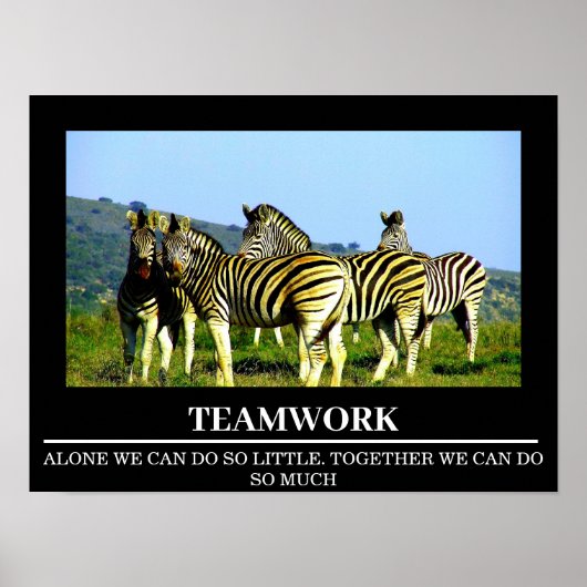 Wildlife Motivatie Posters Zebra Teamwork (Voorkant)