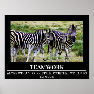 Wildlife Motivatie Posters Zebra Teamwork