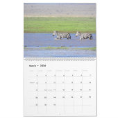 Wildlife of Africa Kalender (Mar 2026)