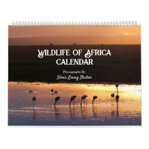 Wildlife of Africa Kalender