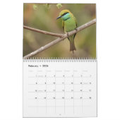 Wildlife of India Calendar Kalender (Feb 2026)
