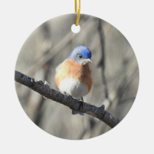 Wildlife ornament, oostelijke blauwvogel, vogels,  keramisch ornament
