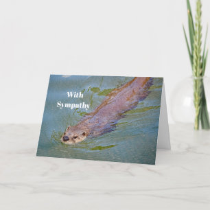 Wildlife Otter Swimming Photo Sympathie Kaart