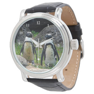 Wildlife Penguin Pair Foto Horloge