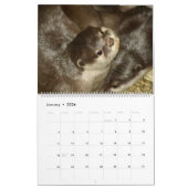 Wildlife Photo's kalender (Jan 2026)