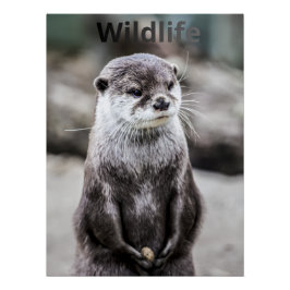 Wildlife Poster Perfect Poster