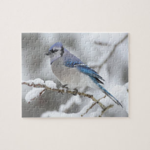 Wildlife Puzzle-Blue Jay Legpuzzel