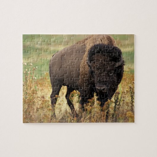 Wildlife Puzzle-Buffalo Legpuzzel (Horizontaal)
