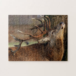 Wildlife Puzzle-Deer Legpuzzel