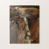 Wildlife Puzzle-Deer Legpuzzel (Verticaal)