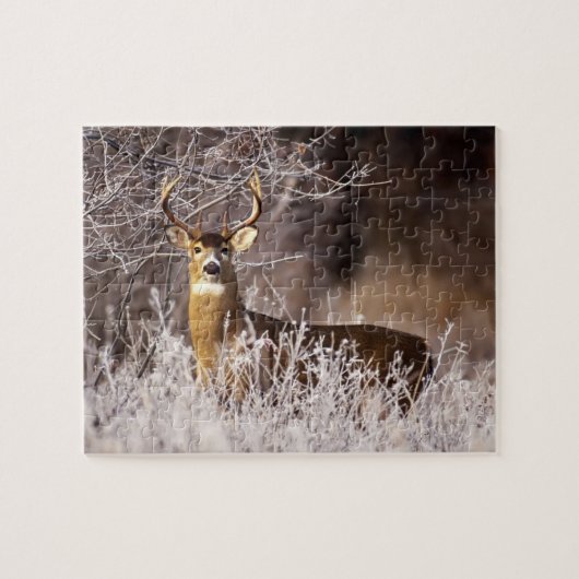 Wildlife Puzzle-Deer Legpuzzel (Horizontaal)
