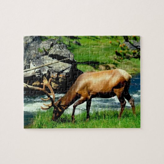 Wildlife Puzzle-Elk Legpuzzel (Horizontaal)