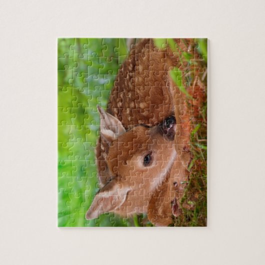 Wildlife Puzzle-Fawn Legpuzzel (Verticaal)