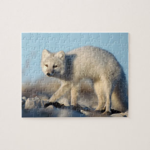 Wildlife Puzzle-Fox Legpuzzel