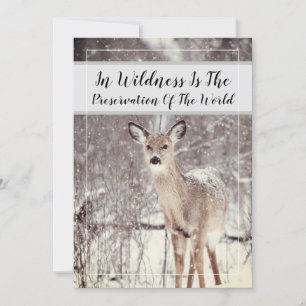 Wildlife Quote Woodland Deer Snow Winter Holiday Feestdagenkaart