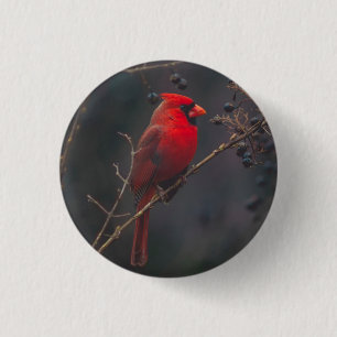 Wildlife Red Cardinal-foto Ronde Button 3,2 Cm