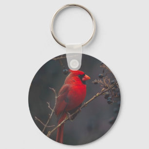 Wildlife Red Cardinal-foto Sleutelhanger