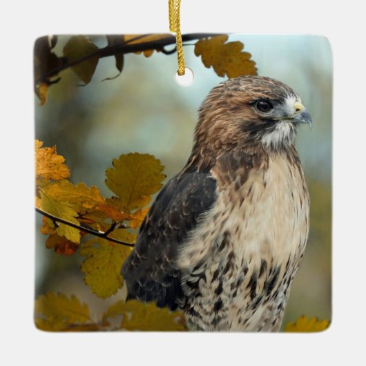 Wildlife Red Tailed Hawk Autumn Foto Keramisch Ornament (Voorkant)