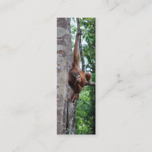 Wildlife Tree Hugger Mini Bladwijzer Mini Visitekaartje (Voorkant)