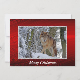 Wildlife Wolf Sneeuw Foto Kerst Flat Feestdagenkaart