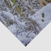 Wildlife Wolf Snow Foto Tissuepapier (Detail)