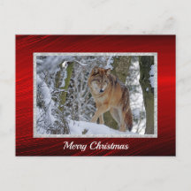 Wildlife Wolf Snow - Kerstmis