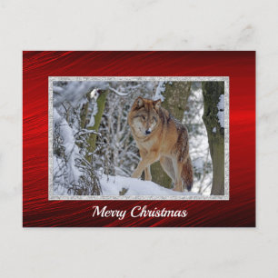 Wildlife Wolf Snow - Kerstmis Briefkaart