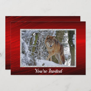 Wildlife Wolf Snow - Kerstmis Kaart