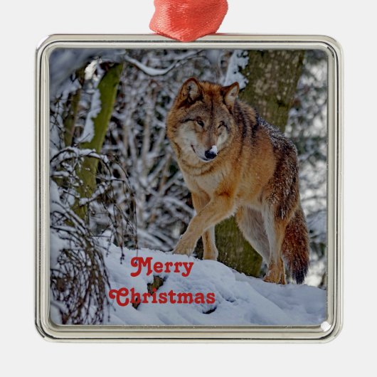 Wildlife Wolf Snow - Kerstmis Metalen Ornament (Voorkant)