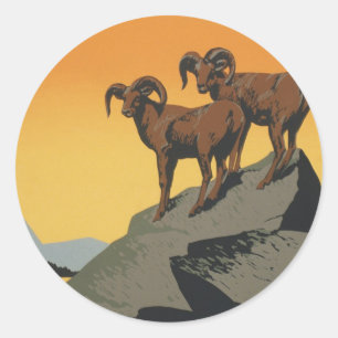 wildparken met WPA Ronde Sticker