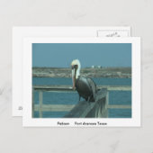 Wildpostkaart Briefkaart (Voorkant / Achterkant)