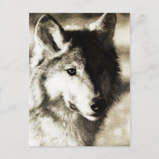    WildSeries 19 Briefkaart