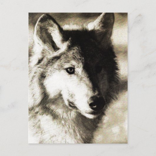    WildSeries 19 Briefkaart (Voorkant)